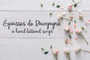 Enhance Your Brand with PN Époisses De Bourgogne Font